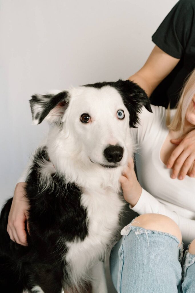 dog owners holding their dog during studio couples photoshoot